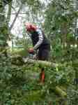 Clearing fallen trees on Fallowfield&nbsp;Loop