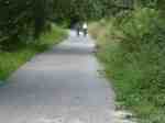 Cyclists on the Fallowfield Loop after clearance of fallen&nbsp;trees