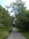 The Fallowfield Loop after clearance of fallen&nbsp;trees