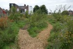 chipping-on-orchard-paths-1