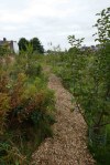 chipping-on-orchard-paths-2