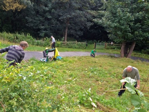 Scything on the Loop