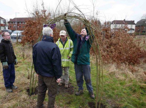 Constructing willow arch