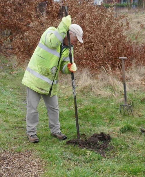 Preparing holes for willow arch