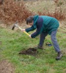 preparing-holes-for-willow-arch-2