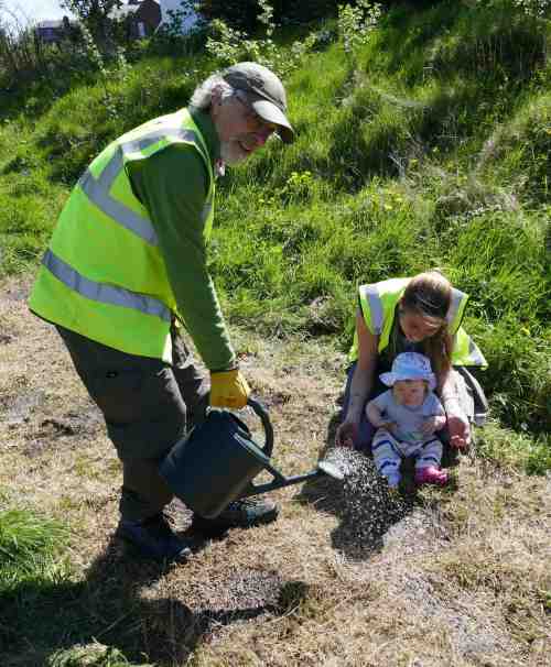 Volunteers sow wildflower seeds