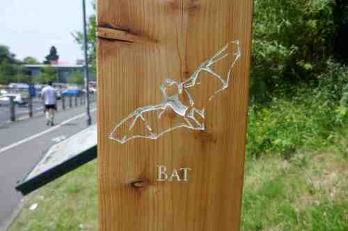 Bat carving