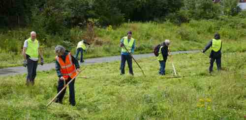 Volunteers raking