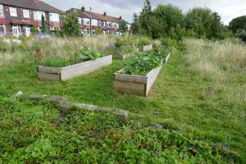 Raised beds at Levenshulme quadrants